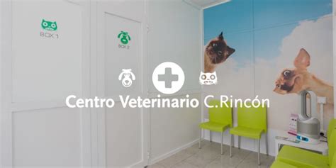 Venta o traspaso de clínicas veterinarias 